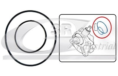 Набір прокладок вакуумного насоса BMW 1 (E81), 1 (E82), 1 (E87), 1 (E88), 3 (E46), 3 (E90), 3 (E91), 3 (E92), 3 (E93), 5 (E60), X1 (E84), X3 (E83), Z4 (E85) 1.8/2.0 12.00-06.15 3RG 74100