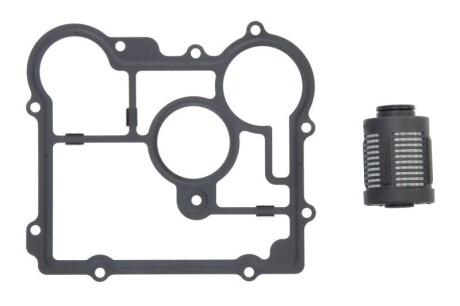 Диференційний масляний фільтр BORG WARNER BW2006273