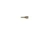 Форсунка Common Rail BOSCH 0433172004 (фото 1)