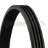 Contitech 4PK1041 ELAST (фото 1)