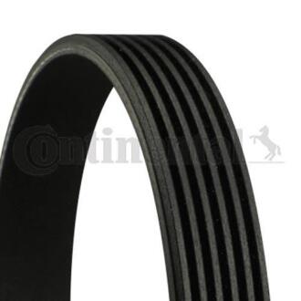 Ремінь Contitech 6PK691ELAST