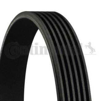 Дорожный пас Contitech 6PK794ELAST