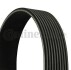 Contitech 9PK1449 (фото 1)