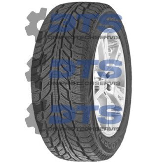 Weather-Master WSC 195/65 R15 91T (под шип) Cooper 195/65 R15 91T (под шип)