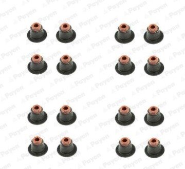 Сальник клапана (компл.) BMW N42/N46 (16PCS) (Payen) CURTY-PAYEN HR5086