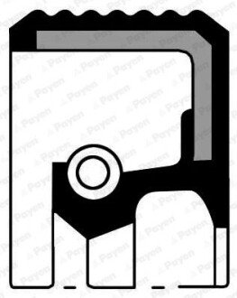 Сальник FRONT FORD, PSA 35X50X7/AW RD PTFE (Payen) CURTY-PAYEN NA5323