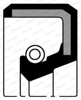 Сальник коробки передач MITSUBISHI 30X45X8 MITSUBISHI G63/4D55/4D65 (PAYEN) CURTY-PAYEN NJ399
