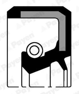 Сальник двигуна TOYOTA 38X50X6 ACM RHTC (Payen) CURTY-PAYEN NJ706