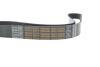Ремень генератора поликлиновый DAYCO 8PK1240HD (фото 4)