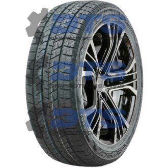 WINTERKING DW16 Doublestar 205/55 R17 95T XL