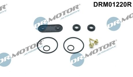 Комплект прокладок из разных материалов DR.MOTOR DRM01220R