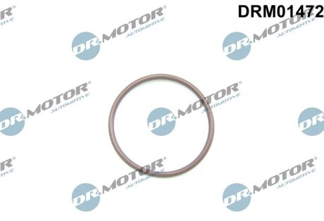 Кільце гумове DR.MOTOR DRM01472