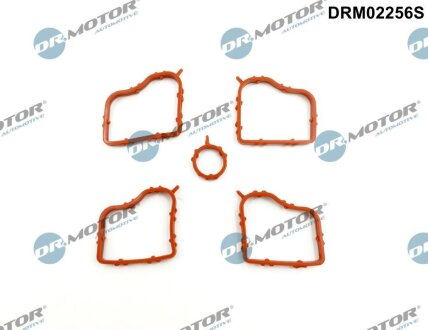 Комплект резиновых прокладок. DR.MOTOR DRM02256S