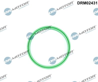 Кольцо резиновое DR.MOTOR DRM02431