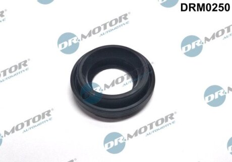 Кольцо резиновое DR.MOTOR DRM0250