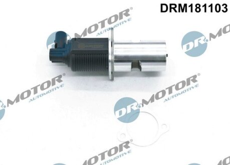 Клапан рециркуляції газів DR.MOTOR DRM181103