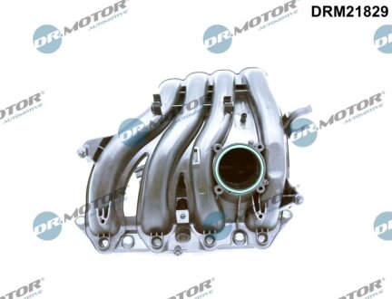 Колектор впускний DR.MOTOR DRM21829