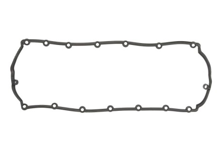 Прокладка, кришка головки циліндра VAG T5 2.5TDI BNZ/BCP/BPD/BPE 03-09 ELRING 246.520