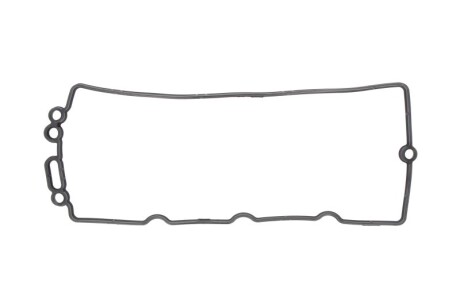Прокладка клапанної кришки ELRING 456.220