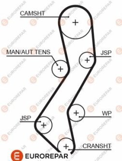 Ремінь зубчастий (довж. 60-150) EUROREPAR 1633136880 (фото 1)