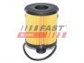 Фільтр масляний 1.3CDTI 16V, 1.3MJET 16V, 1.3TDCI 16V Fiat Doblo 09-23, Opel Astra H 04-14, Opel Combo C 01-11 FAST FT38068 (фото 1)