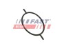 Прокладка вакуумного насоса Ford Focus/Connect/Escort/Mondeo 1.8D/1.8TD/1.8TDCI FAST FT49923 (фото 2)