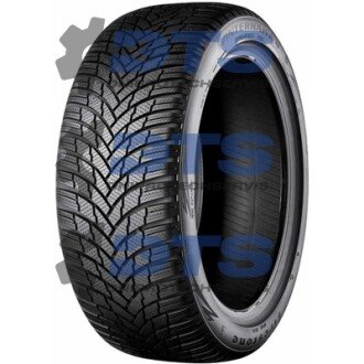 WinterHawk 4 FIRESTONE 205/55 R16 91T (фото 1)