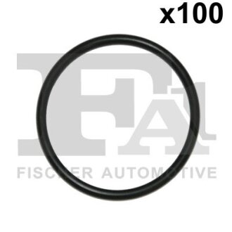 Кільце гумове Fischer Automotive One (FA1) 076.394.100