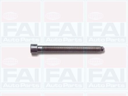 К-кт винтов Г/Б (10шт)) 1.8 VW Passat B5 /Audi A4, A6 Fischer Automotive One (FA1) B1006