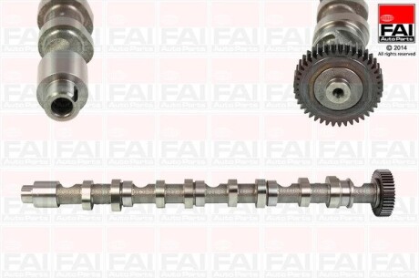 Распределительный вал EX Audi A5 2.0 Tdi 08-/Skoda Fabia 1.6 Tdi 10-14/VW Golf Vi 2.0 Tdi 10-13 Fischer Automotive One (FA1) C348