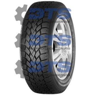 Winter HD617 Haida 175/65 R14 82T