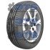 Premitra Snow WP6 Maxxis 225/55 R18 102V XL (фото 1)