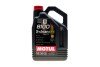 Олива 8100 X-clean EFE SAE 5W30 5 L MOTUL 814051 (фото 1)