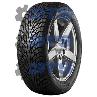 Hakkapeliitta R2 Nokian 225/50 R17 94R Flat Run