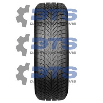 INVERNO Paxaro 195/55 R16 87H (фото 1)