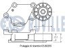 Натяжник паска поліклинового Citroen/Peugeot 1.4/1.6HDI RUVILLE 541183 (фото 2)