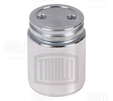 Поршень зад. суппорту для а/м Ford/Mazda/Opel/Renault/SAAB/VOLVO d=38mm (RCF 102064) Trialli RCF102064