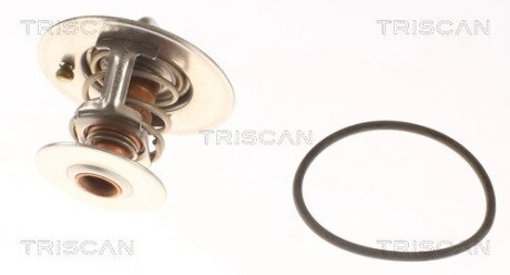 Термостат TRISCAN 8620 9691