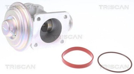 Клапан EGR BMW 3(E46)/5(E39)/7(E38) 1.8d/2.0d/3.0d TRISCAN 881311004