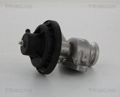 Клапан EGR VW Caddy III, Golf V 2.0SDI BSD, BDK 01.04- TRISCAN 881329034