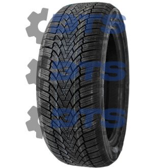 Winterhawke I Zmax 205/55 R16 91H